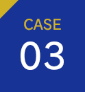 CASE 03